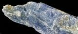 Vibrant Blue Kyanite Crystal - Brazil #56938-2